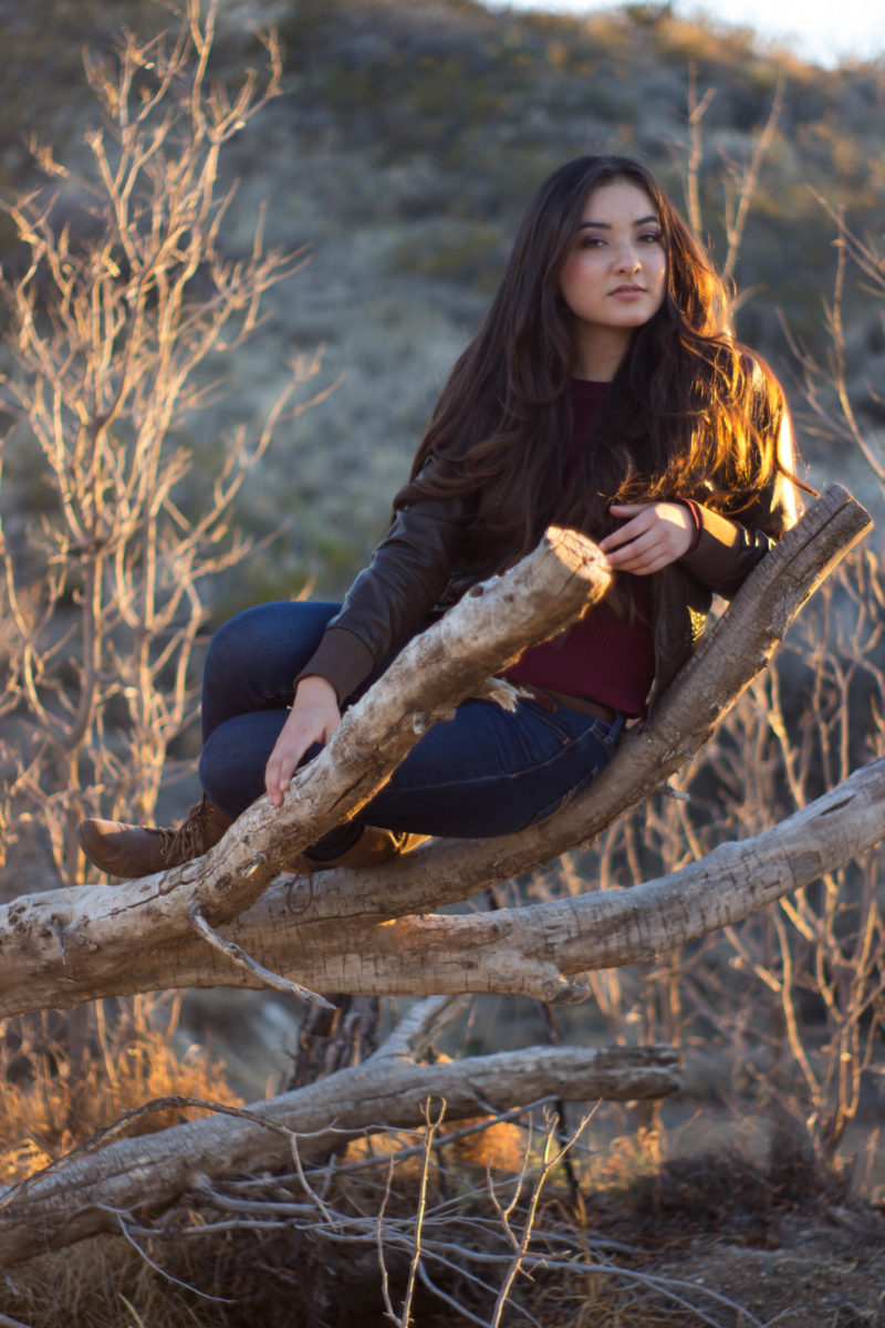 Treasured Roots Studio Photography Packages